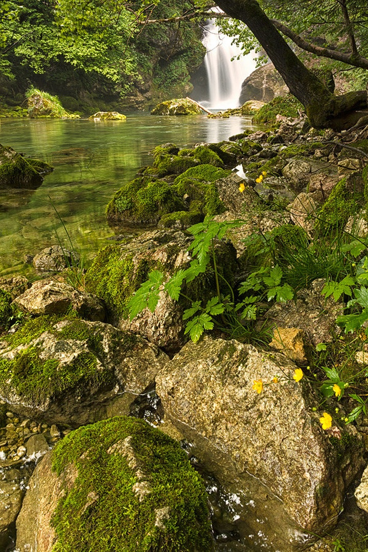 peacefulness by Bor