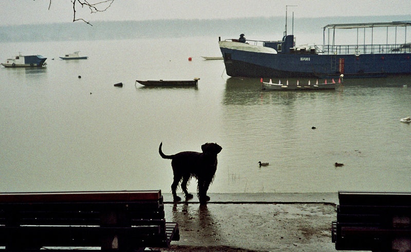 lomografija by Rade Krstinic