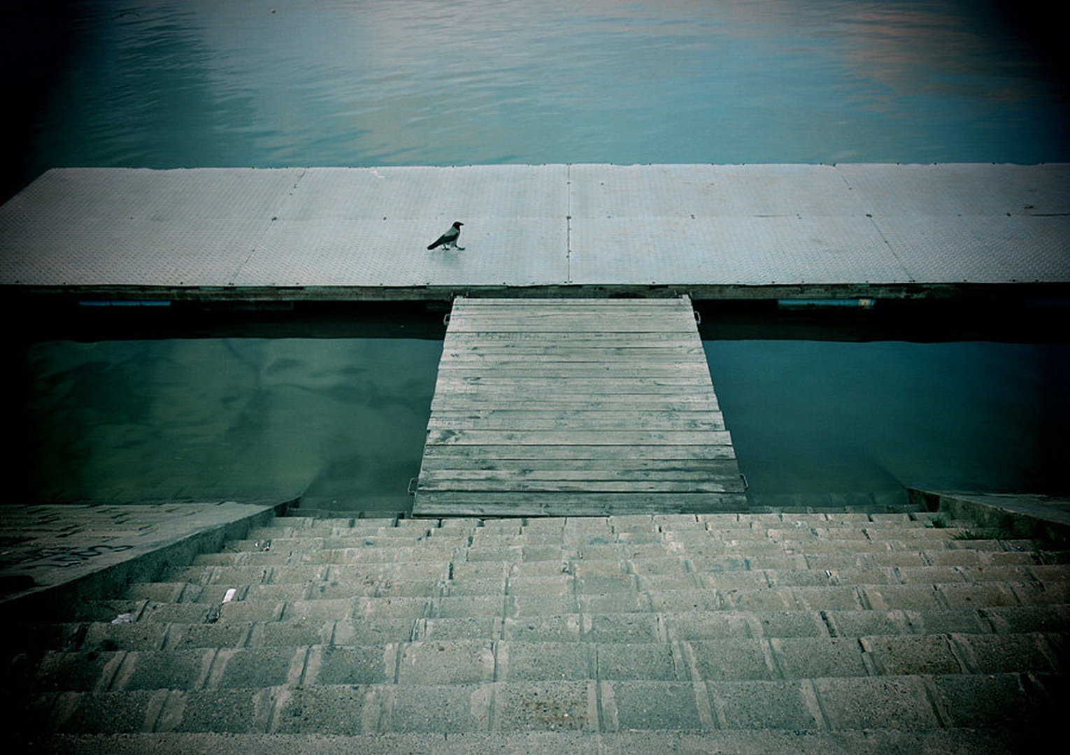 Lomografija. Smena 8 by Rade Krstinic