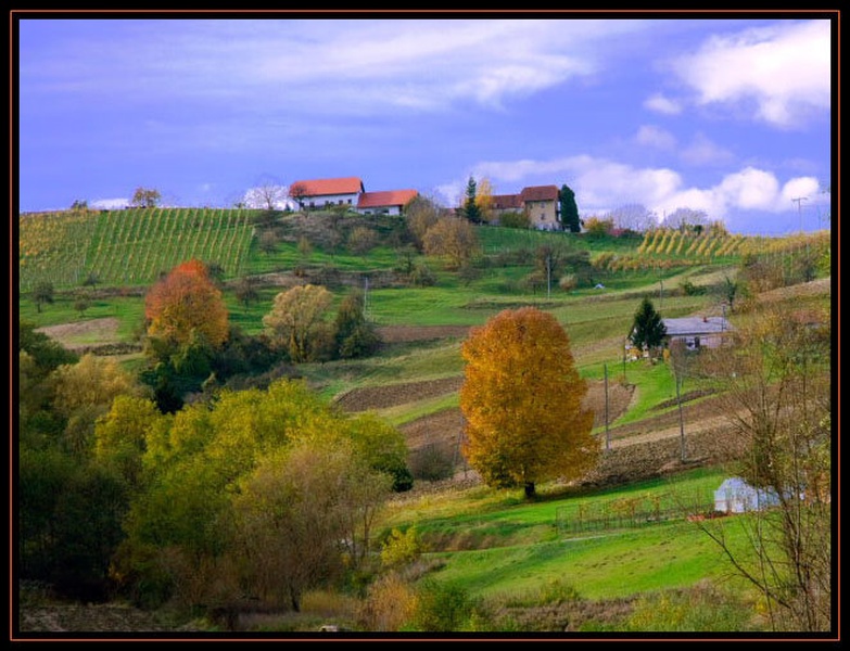 Jesen na Grušovi by Marjetica