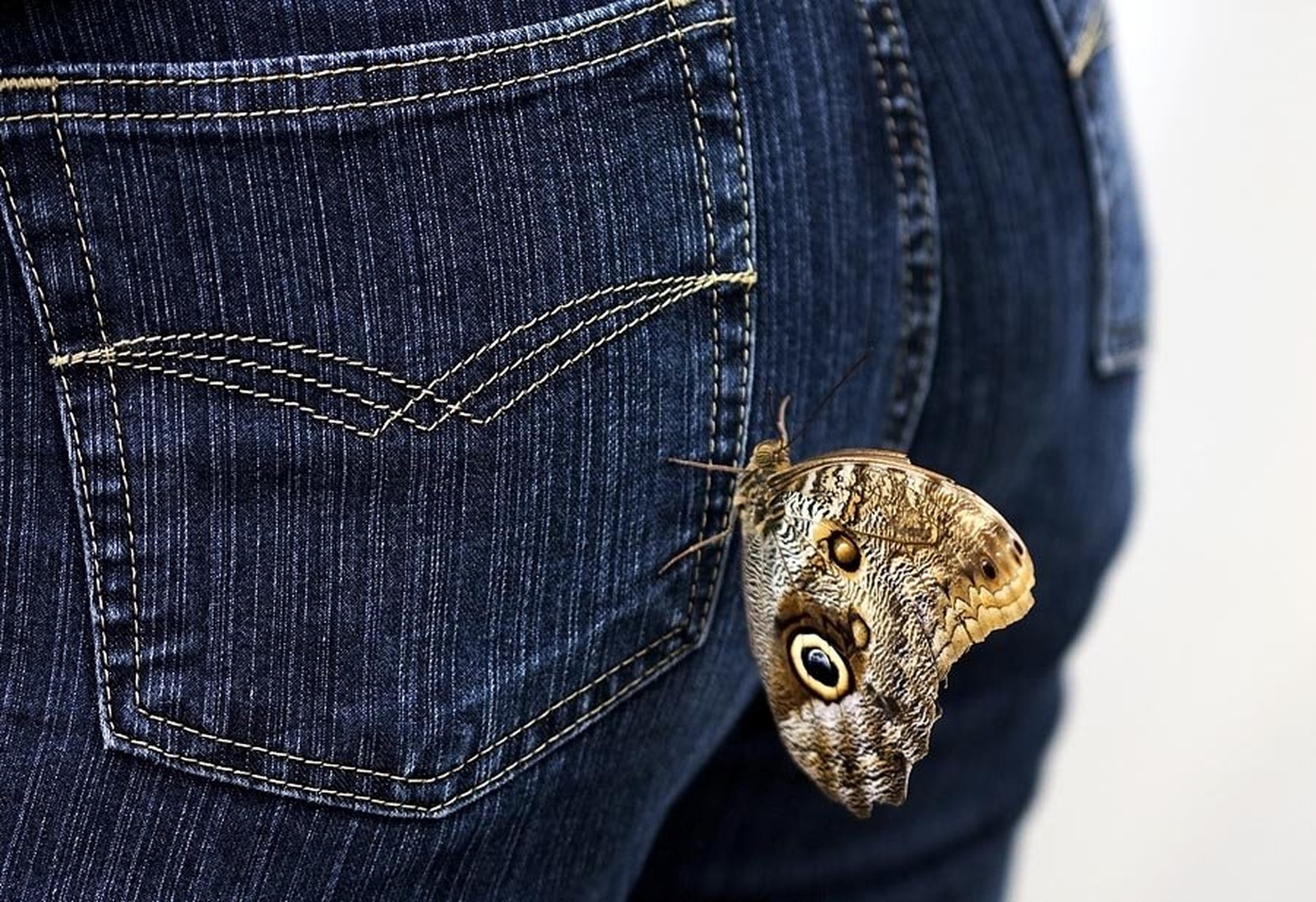 Jeans by
