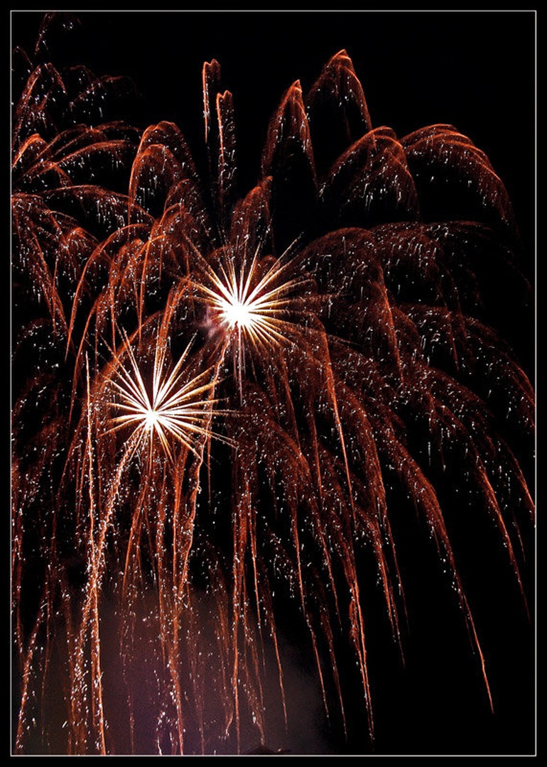 Srečno 2010!! by