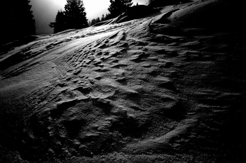 snowww ... by scuffydog