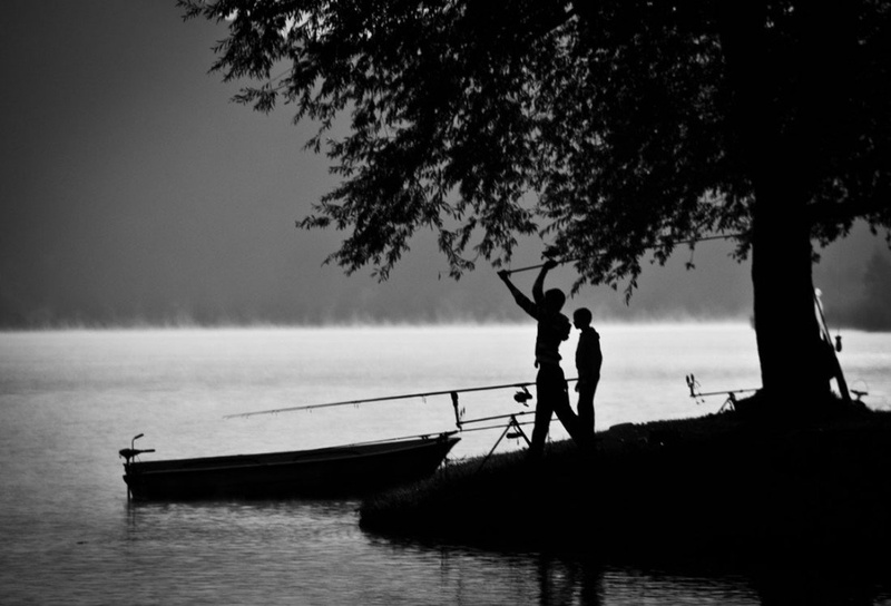 Fish bros :) by Amadej Rataj