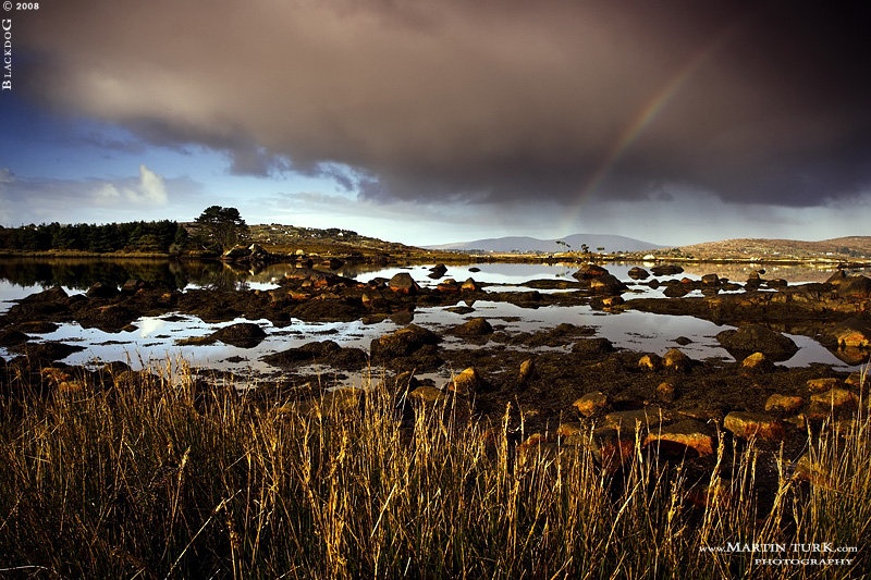 Beauty In Ireland by Martin Turk