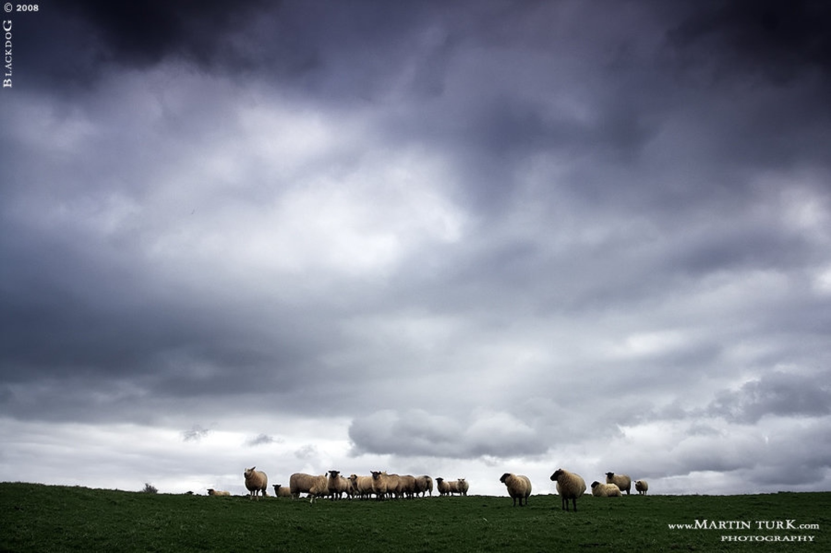 Mi smo svi STADO ovaca by Martin Turk