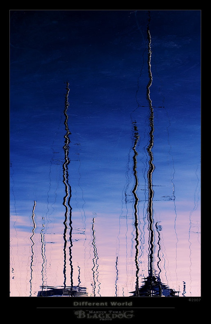 Different World by Martin Turk