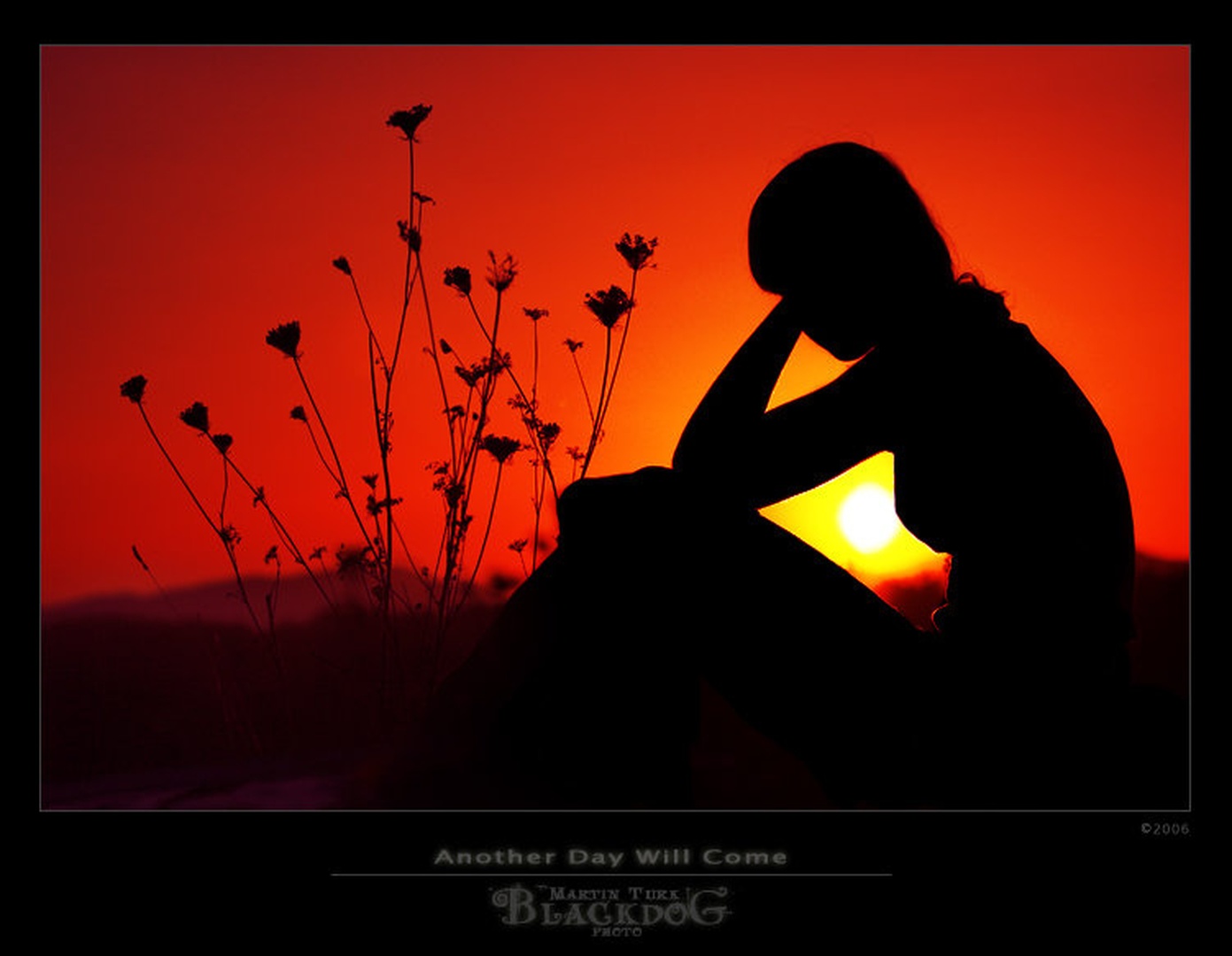 Another Day Will Come by Martin Turk