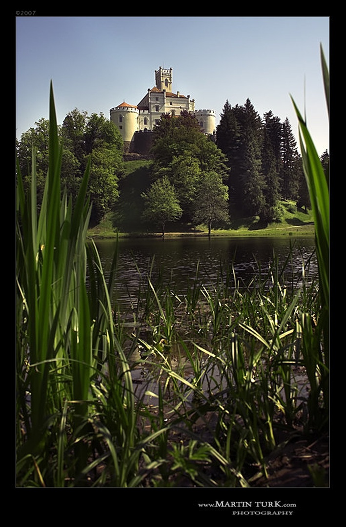 .. PogleD .. by Martin Turk