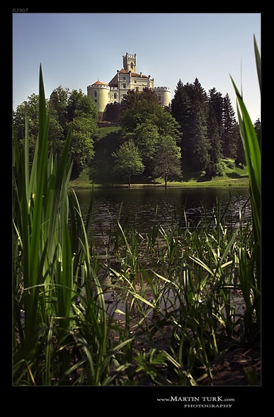 .. PogleD .. by Martin Turk