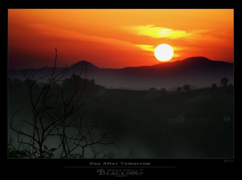 Day After Tomorrow by Martin Turk