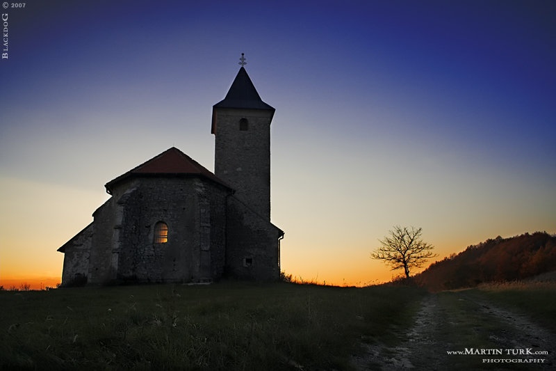. .. by Martin Turk