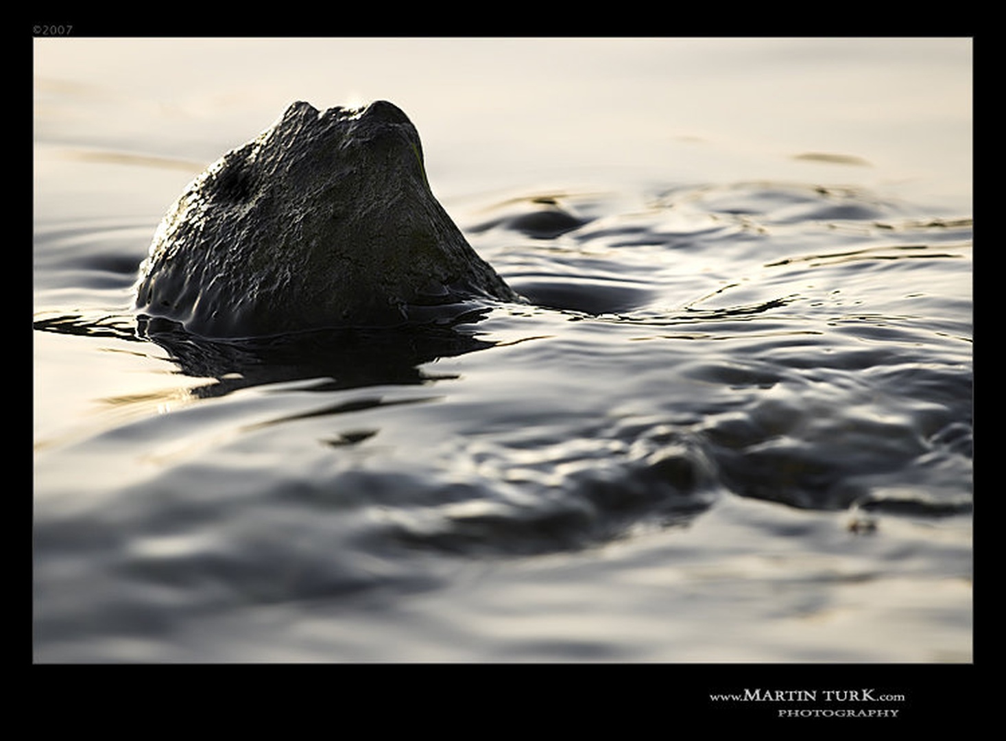 SwimmeR by Martin Turk