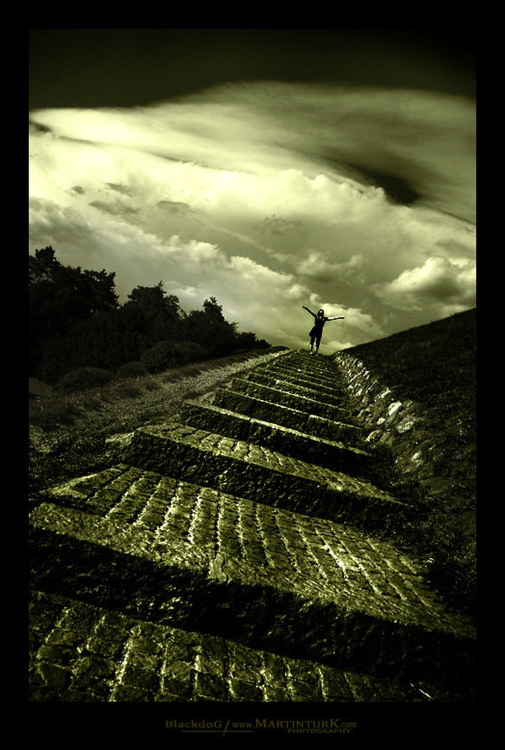 I Want to Break Free by Martin Turk