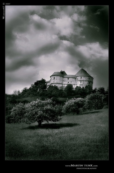 Time After Time by Martin Turk