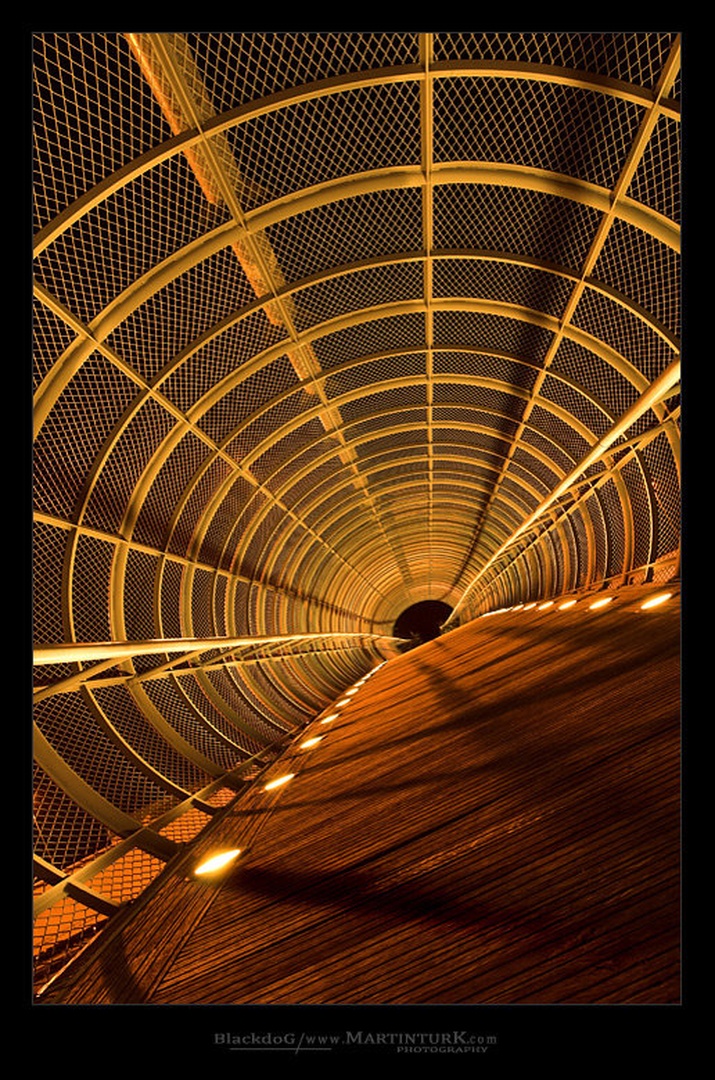Circle in circlE by Martin Turk