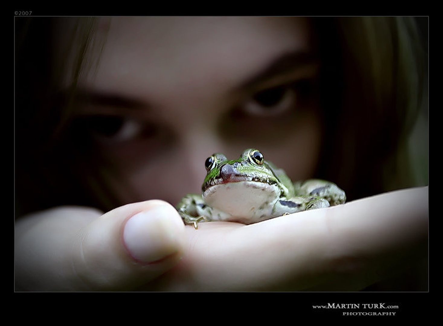 FrogY by Martin Turk