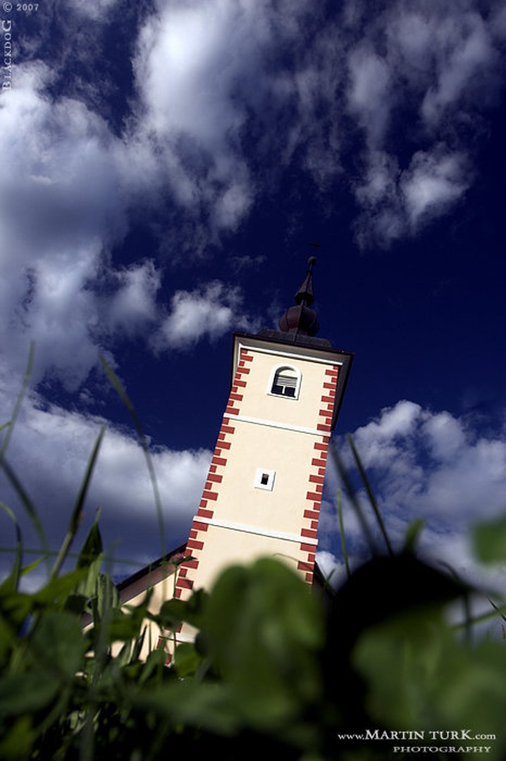 Pogled žabE by Martin Turk