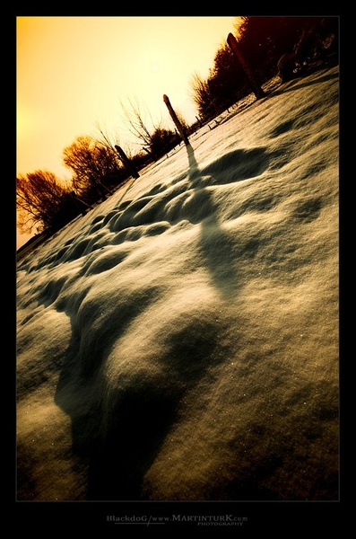 \ by Martin Turk