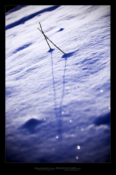/ \ by Martin Turk