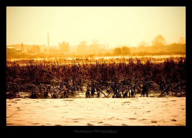 WINTERSUN by Martin Turk