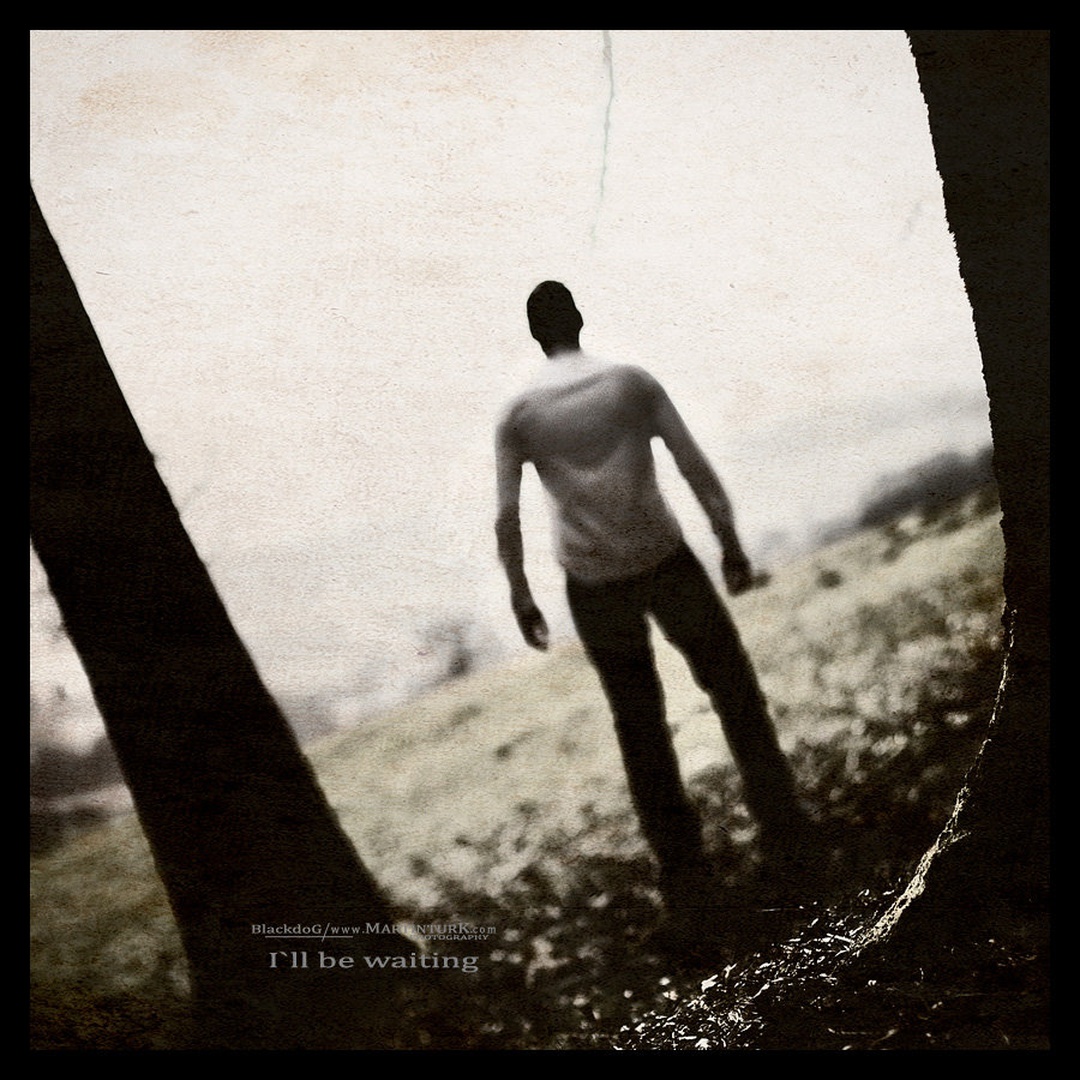 I'll be waiting by Martin Turk