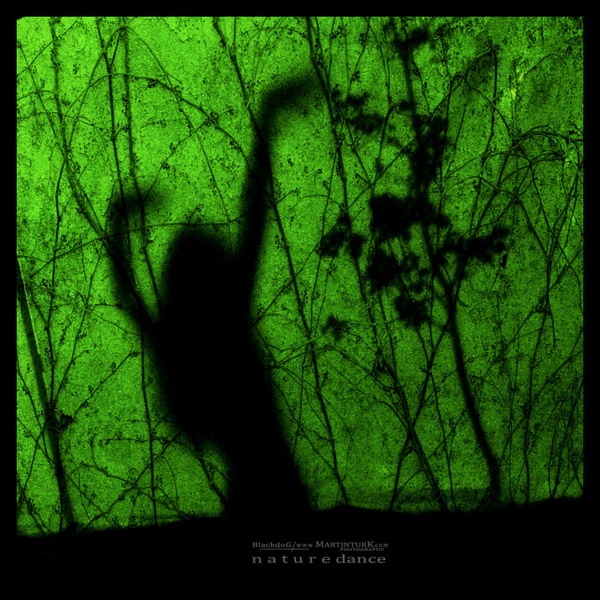 nature dance by Martin Turk
