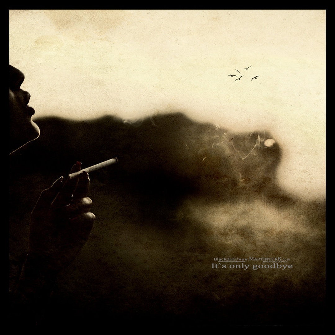 It's only goodbye by Martin Turk