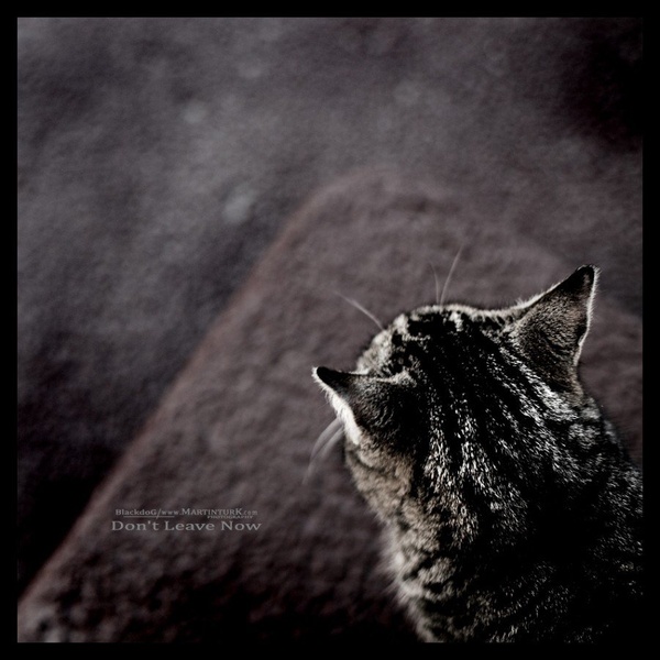 Don't leave now by Martin Turk