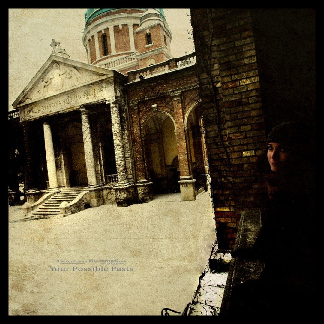 Your possible pasts by Martin Turk