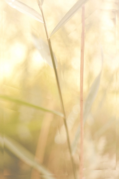 caLam 13.4 by Anej Lešnik