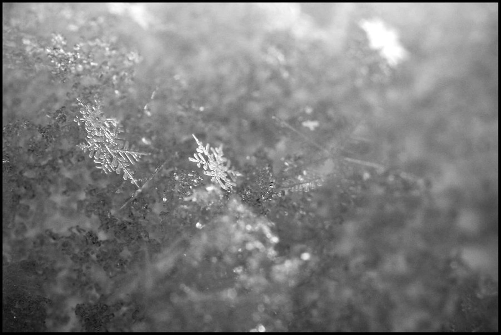 Min-DOF Snowflake by Anej Lešnik