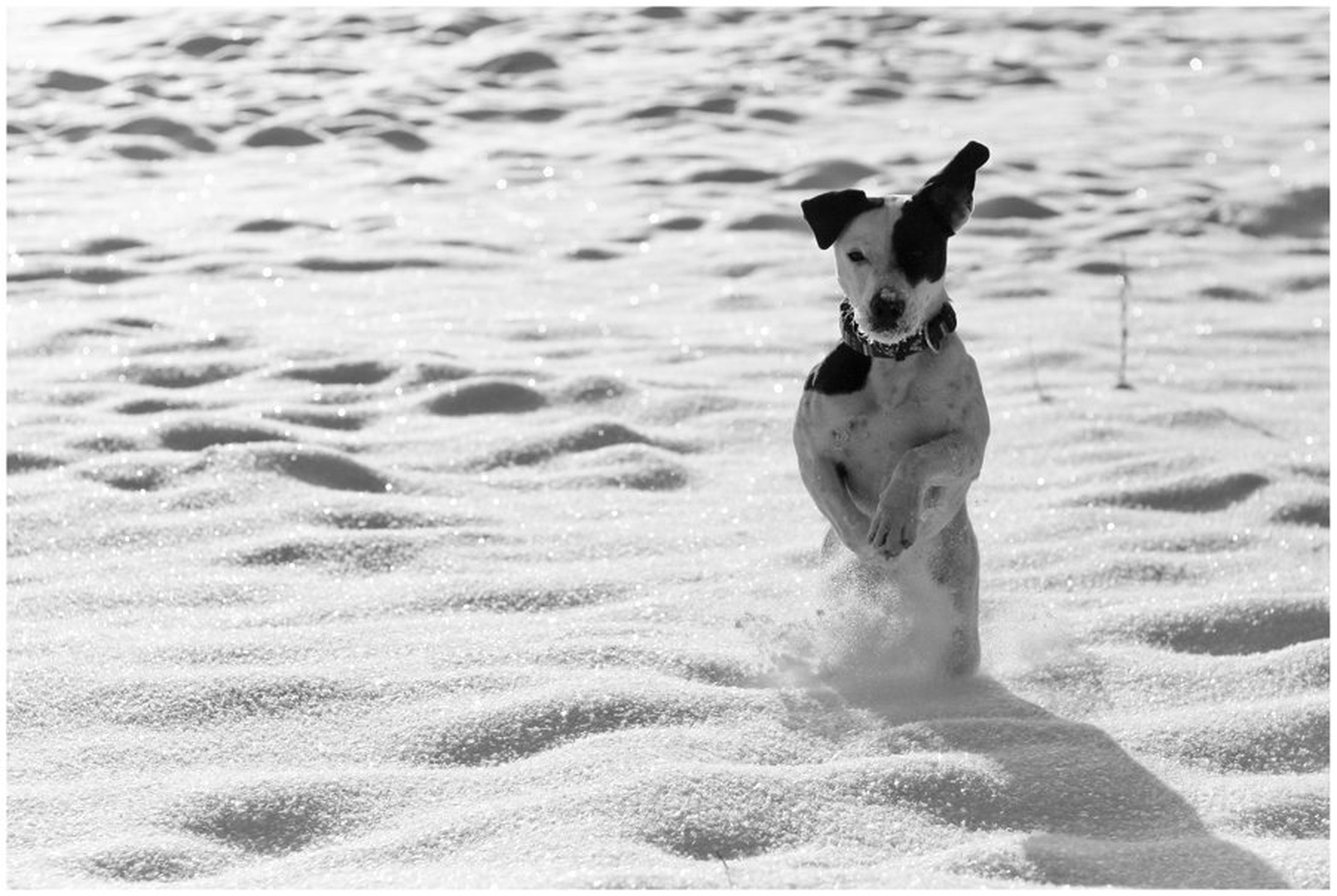 Snow joy by Anej Lešnik