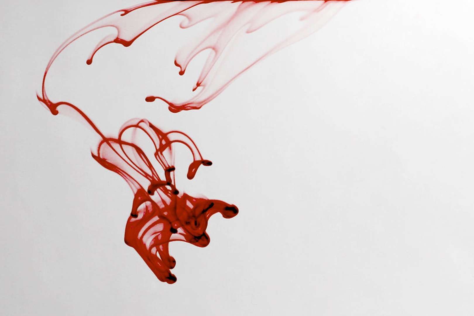 Blood Drop by Anej Lešnik