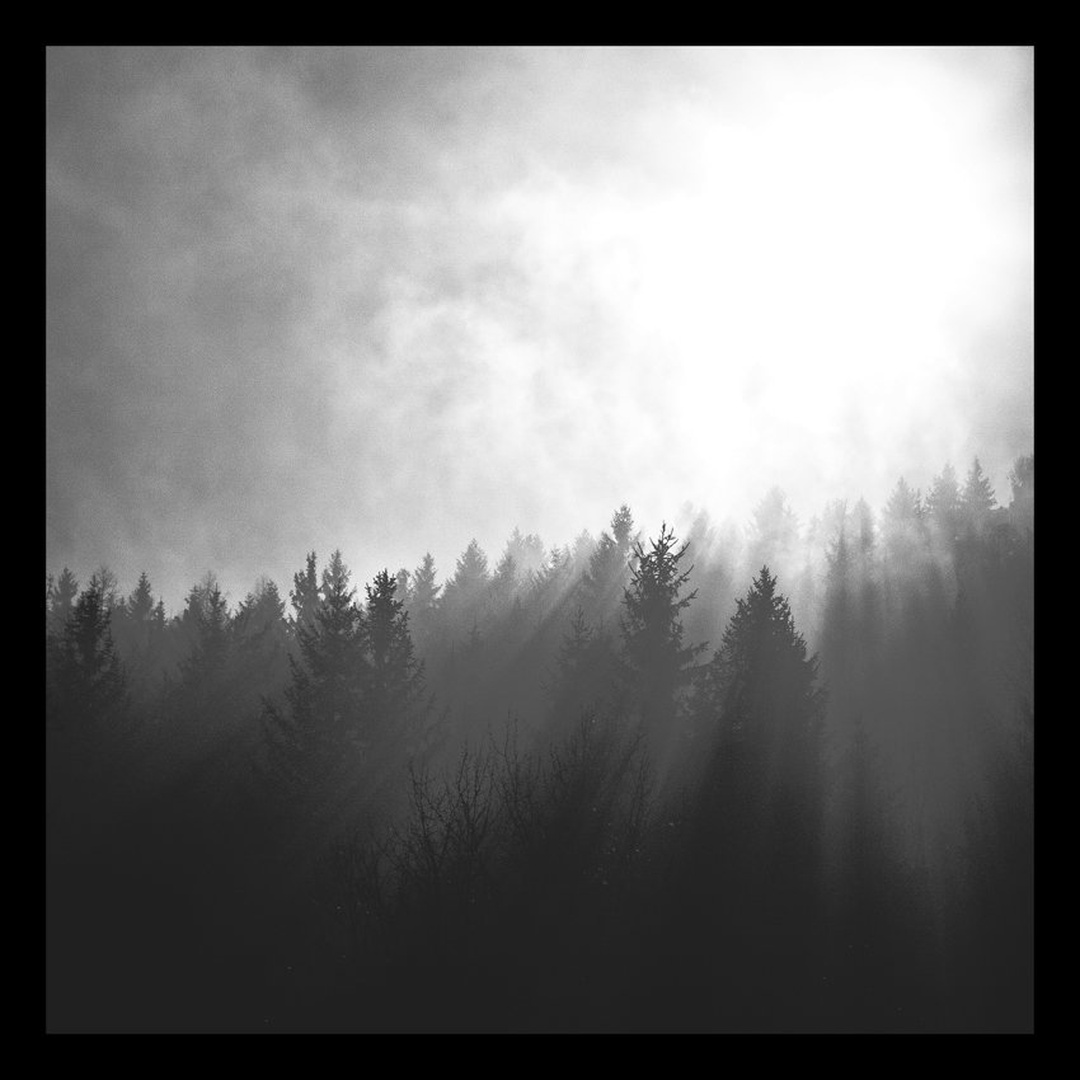 Except for one below, all remain the same by Anej Lešnik