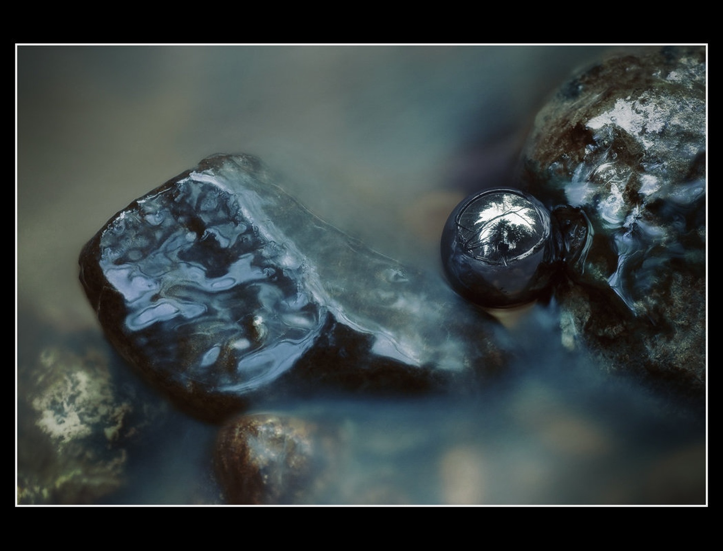Black pearl by Anej Lešnik