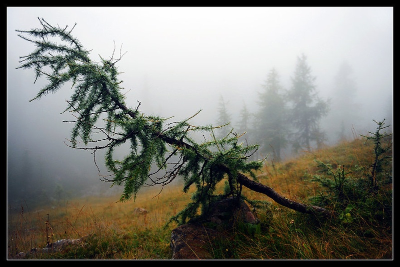 DOF - Depth Of Fog by Janez Mencinger