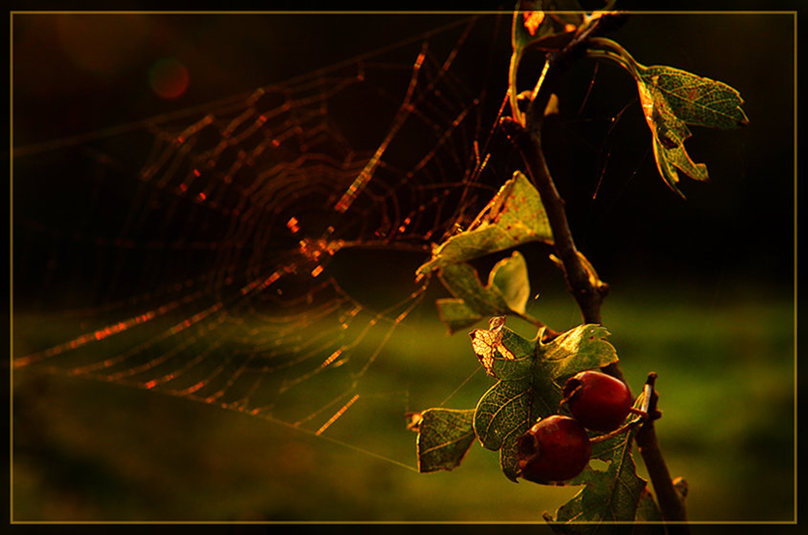 Just Two Of Us by Janez Mencinger
