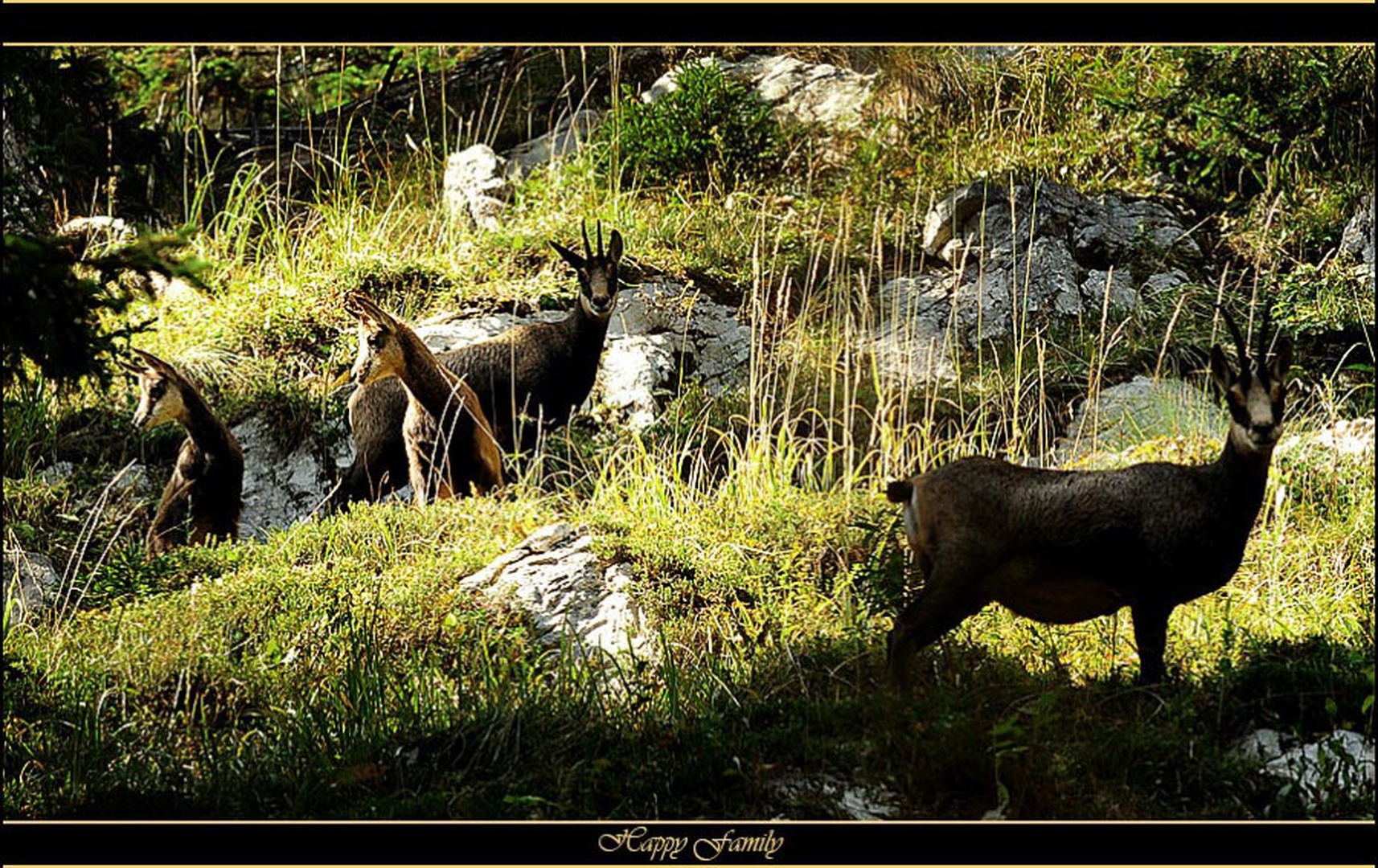 srečna družina by Janez Mencinger