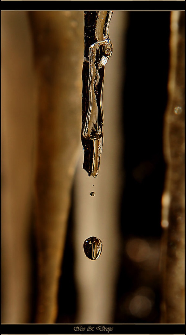 Ice & Drops by Janez Mencinger