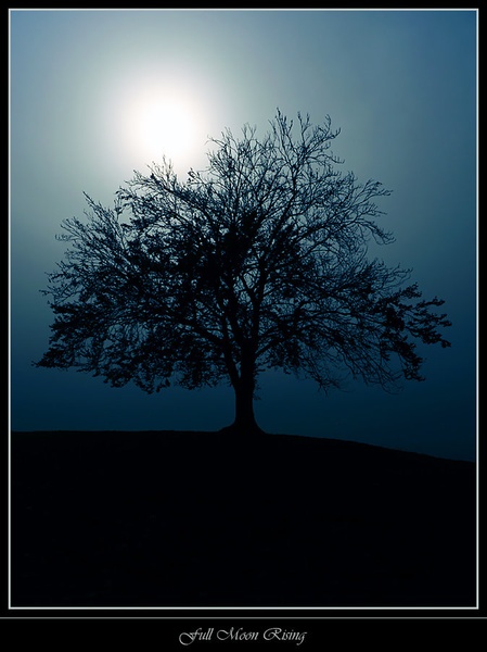 Full Moon Rising by Janez Mencinger
