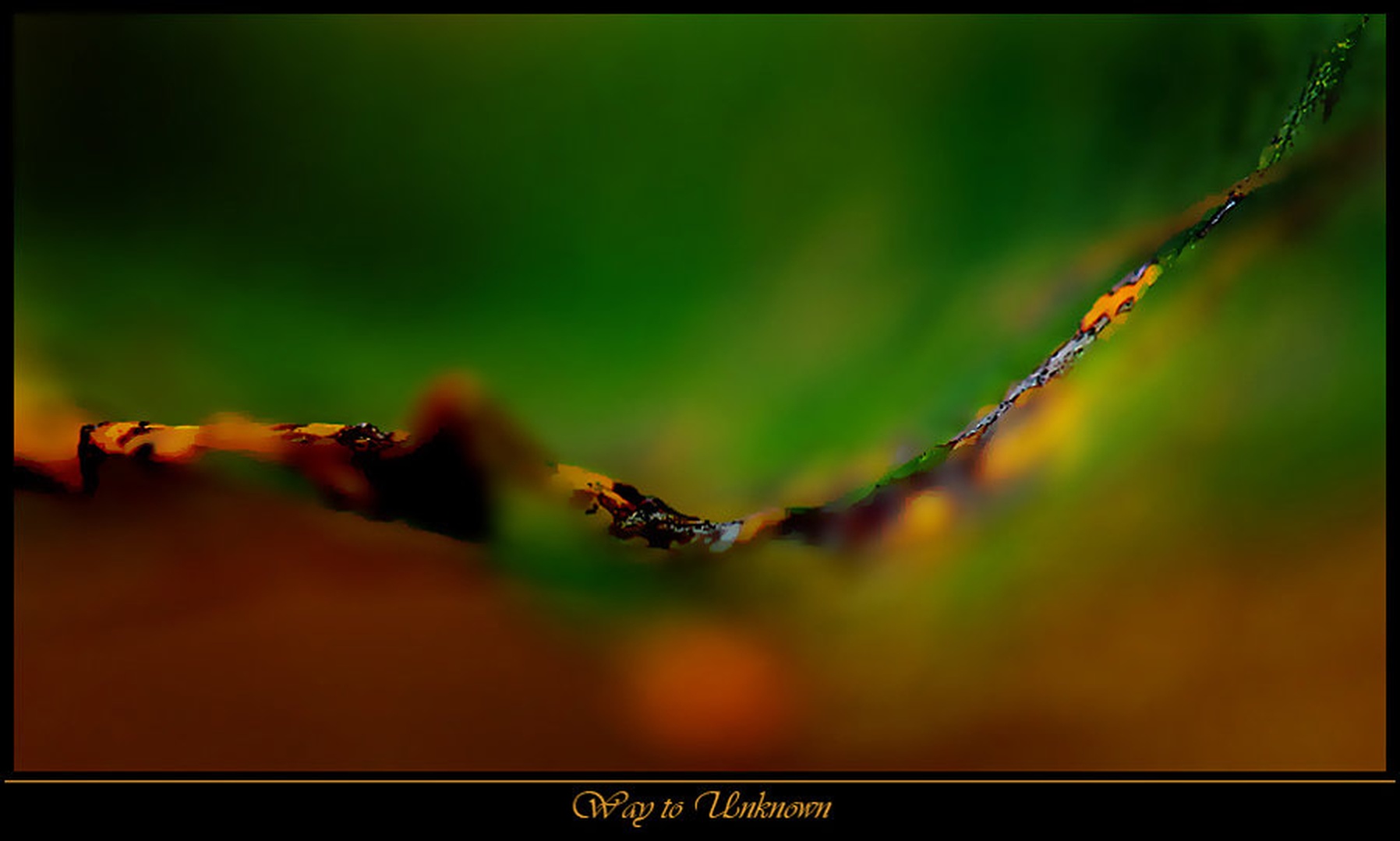 Way to Unknown by Janez Mencinger