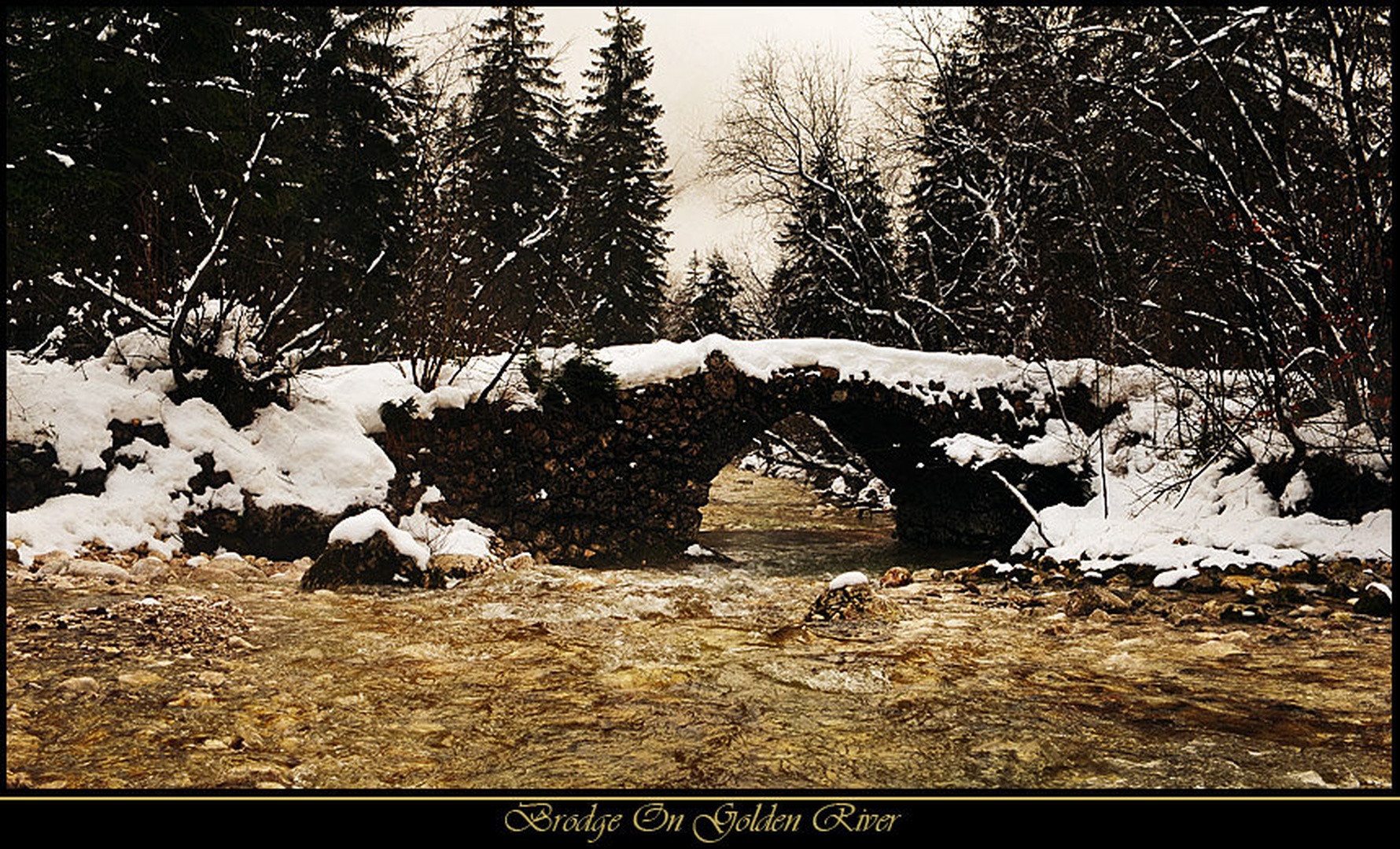 Bridge On Golden River by Janez Mencinger