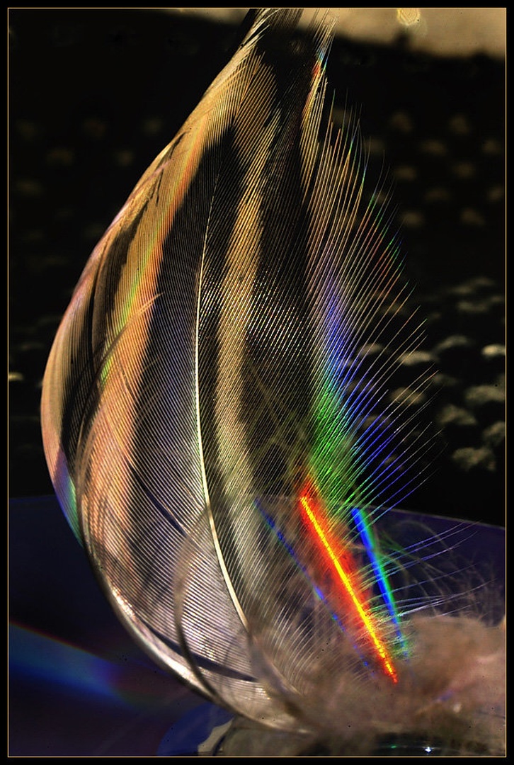 Tribute to Pink Floyd by Janez Mencinger