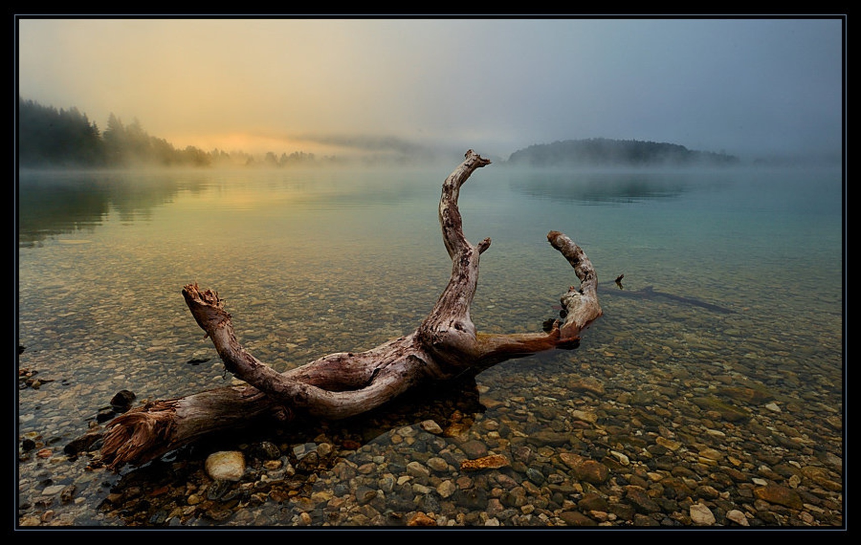 naplavina by Janez Mencinger