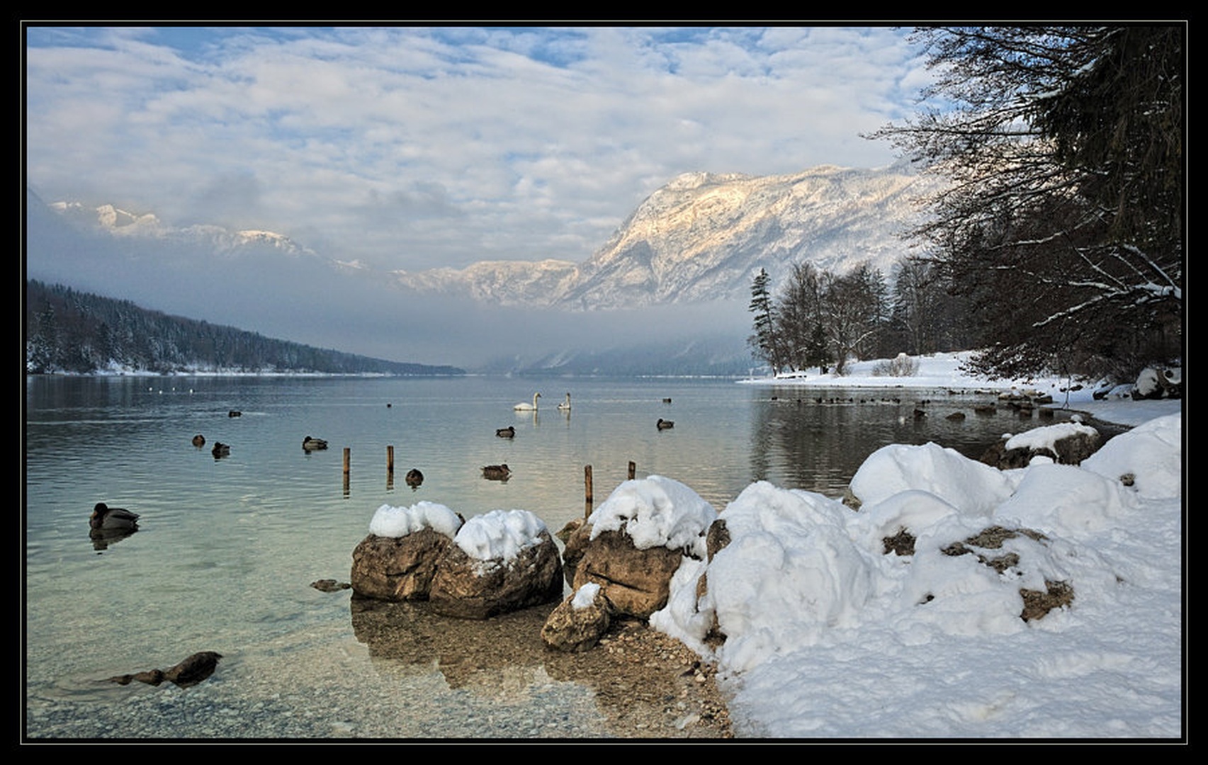 bohinjska flota by Janez Mencinger