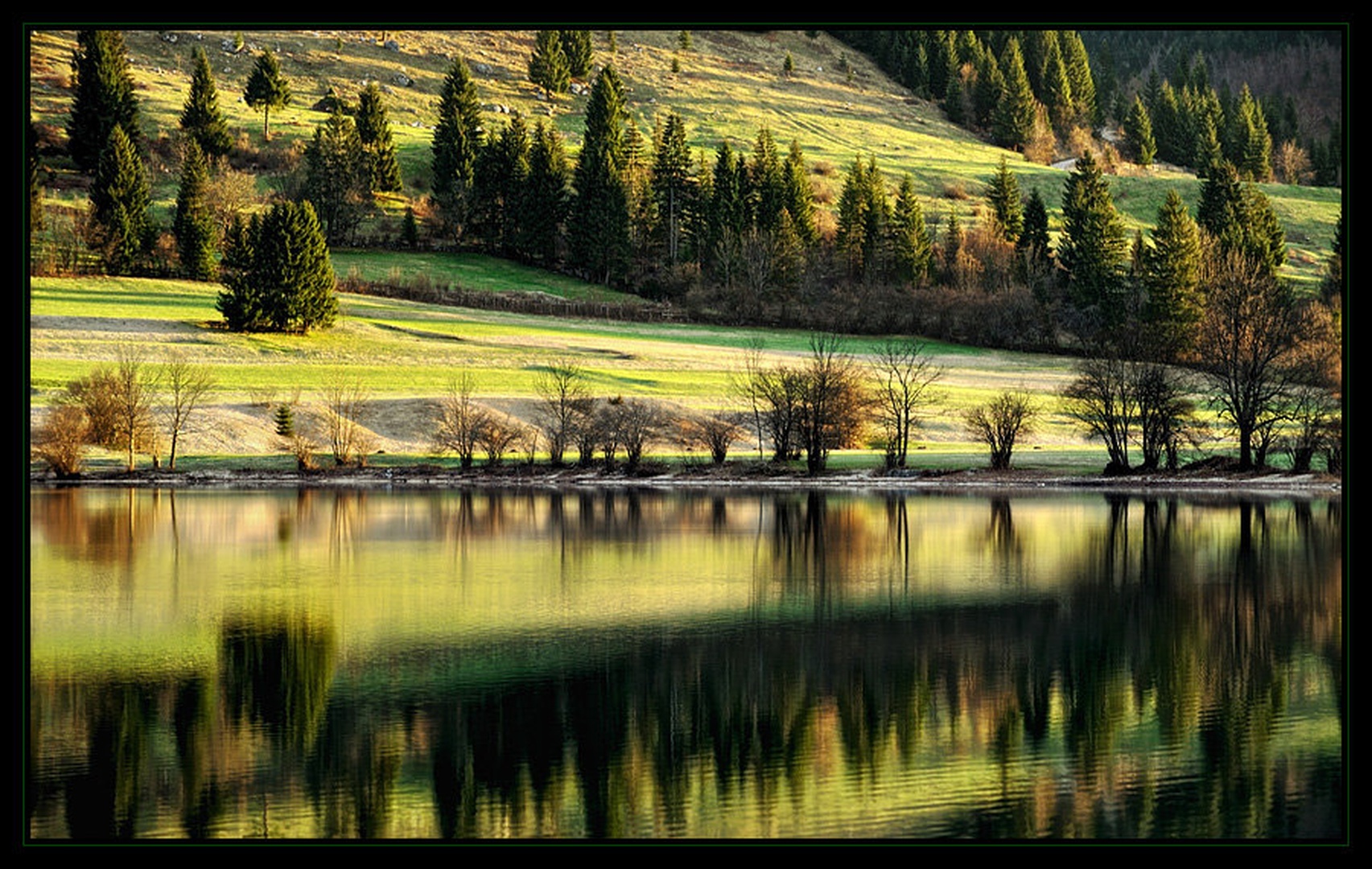 iz belega v zeleno by Janez Mencinger