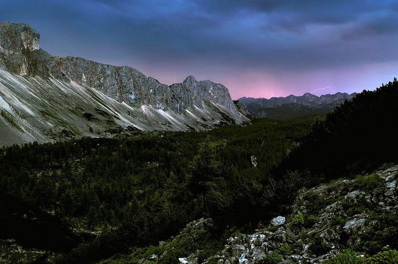 budnica by Janez Mencinger