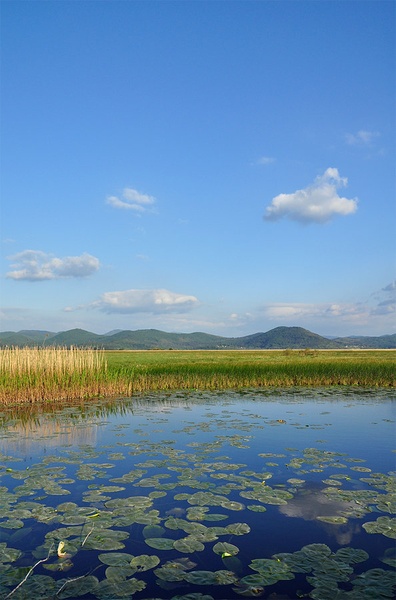 Spet cerkniško by Maja