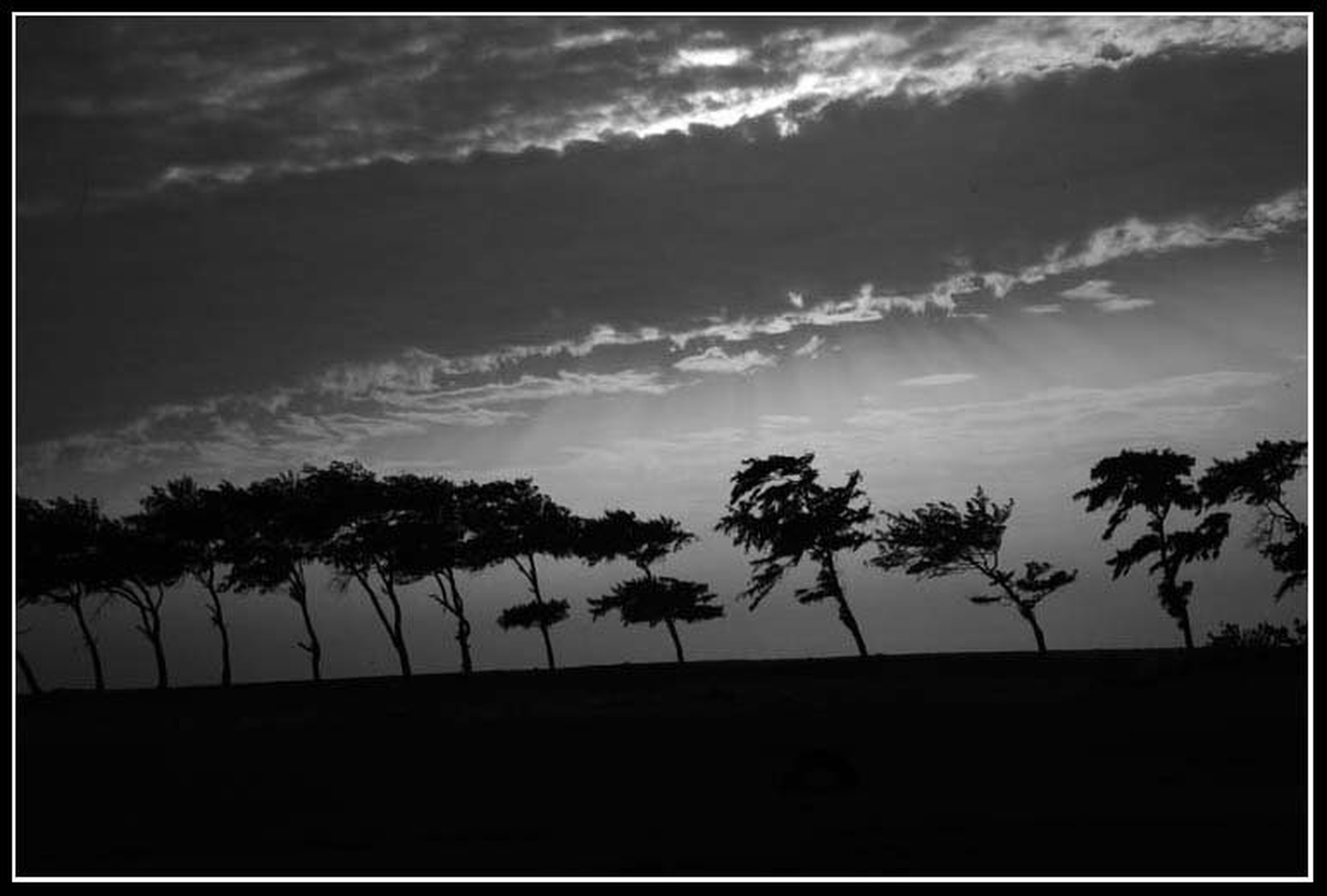 Wind by